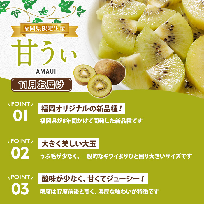 ＜定期便・年4回＞旬の福岡 フルーツ定期便(あまおう1kg/とよみつひめ1.2kg/早味かん3kg/甘うぃ3.6kg) いちご 苺 あまおう いちじく イチジク 無花果 みかん ミカン 蜜柑 キウイ 