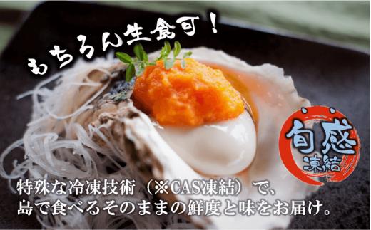 【のし付き】ブランドいわがき春香 新鮮クリーミーな高級岩牡蠣 殻付きLサイズ×16個 お歳暮に