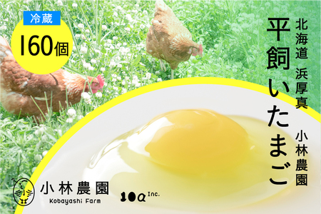 無投薬･平飼い 有精卵 160個 冷蔵 [AXAN034]