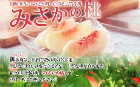 ＜2024年先行予約＞桃 秀品 4.5kg 糖度10％以上※クール便配送 177-006