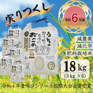 M195-2〈順次発送〉【令和6年産】新米 米・食味コンクール国際大会金賞米「実りつくし」18kg