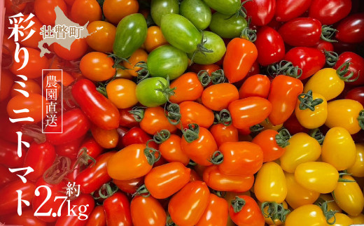 ＜2026年7月上旬よりお届け＞【農園直送】北海道壮瞥産　彩りミニトマト約2.7kg SBTO004