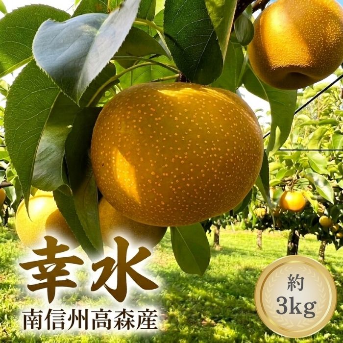 【ふるさと納税】幸水 3kg箱【配送不可地域：離島】