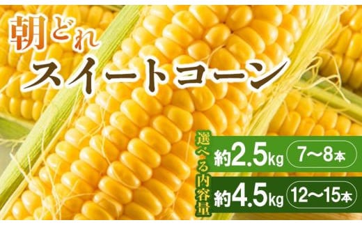 
とうもろこし 2025 スイートコーン コーン 2.5kg以上(7～8本)　4.5kg(12～15本) トウモロコシ 朝どれ 野菜 国産 産地直送 期間限定 季節限定 旬彩ファームやまさき 常温 Tsy-0005
