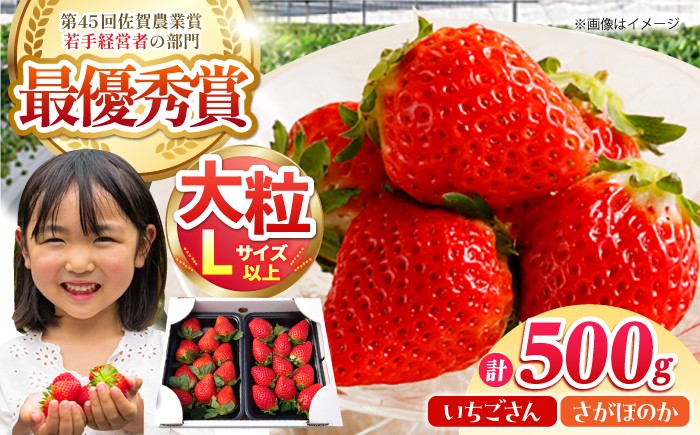 
                  【12～4月発送】農園直送「いちごさん・さがほのか」500g ( 約250g×2パック ) 【むらおか農園】 [HAF032] / いちご 苺 イチゴ 果物 くだもの フルーツ いちご イチゴ 苺 ichigo strawberry いちごさん さがほのか 朝摘み 農家直送 産地直送 果物 フルーツ 佐賀 佐賀県産 佐賀県 国産 8000 8,000円 8千円
                