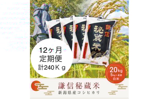 【先行予約｜10月上旬より順次出荷】定期便12ヶ月連続発送（20kg×12回分）20kg 米 新潟県産 コシヒカリ  精白米 謙信秘蔵米  お米  こめ コメ おこめ おすすめ こしひかり 新潟 にいがた 新潟米 上越 上越産 上越米 ふるさと納税 定期便 上杉謙信 人気