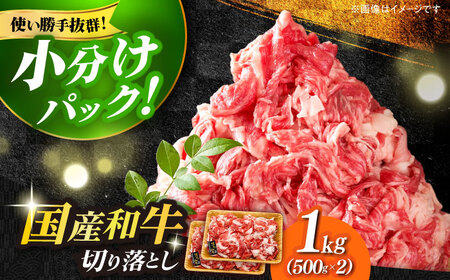 牛肉切り落とし 1kg 博多和牛 [ABBP010] 牛肉切り落とし