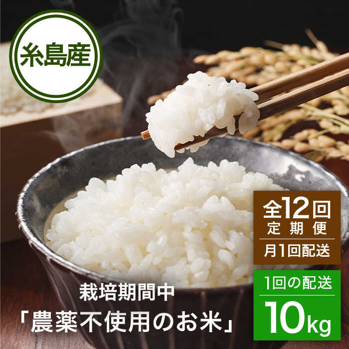 【ふるさと納税】【全12回(月1回)定期便】 栽培期間中 農薬不使用のお米 10kg 糸島市 / シーブ [AHC046] 米 定期便60万円680000円