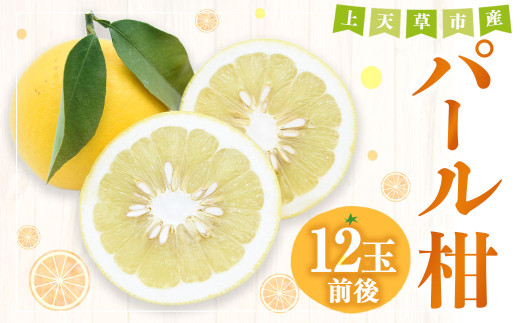 【先行受付】上天草市産 パール柑 約5kg 12玉前後 柑橘 フルーツ 果物 果実 熊本県 上天草市【2027年2月下旬～4月下旬順次発送予定】