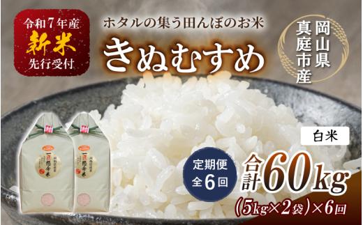 ＜定期便 全6回＞令和7年産 真庭市産きぬむすめ 白米10kg(5kg×2袋)×6回 / お米 国産 岡山県 米 人気 ブランド 2025年産 【tkns-tkb017-cho】