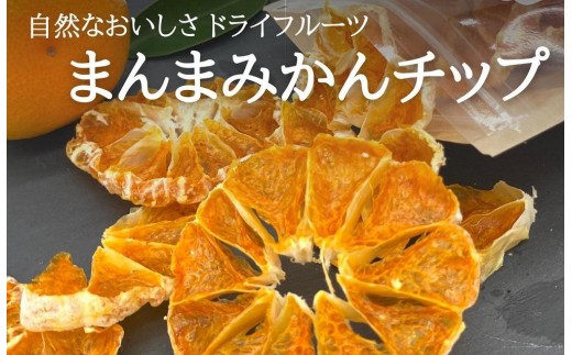 
                  ドライフルーツ みかんチップ 100g ( 20g × 5袋 ) 和歌山県産 果物使用 自社製造 【みかんの会】
                