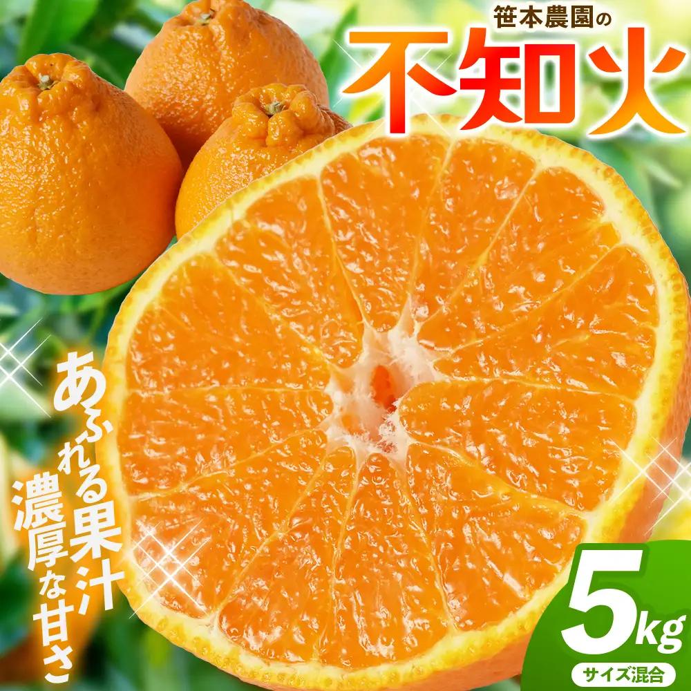 不知火 笹本農園の不知火 約5kg サイズ混合 みかん【ssmt0001】