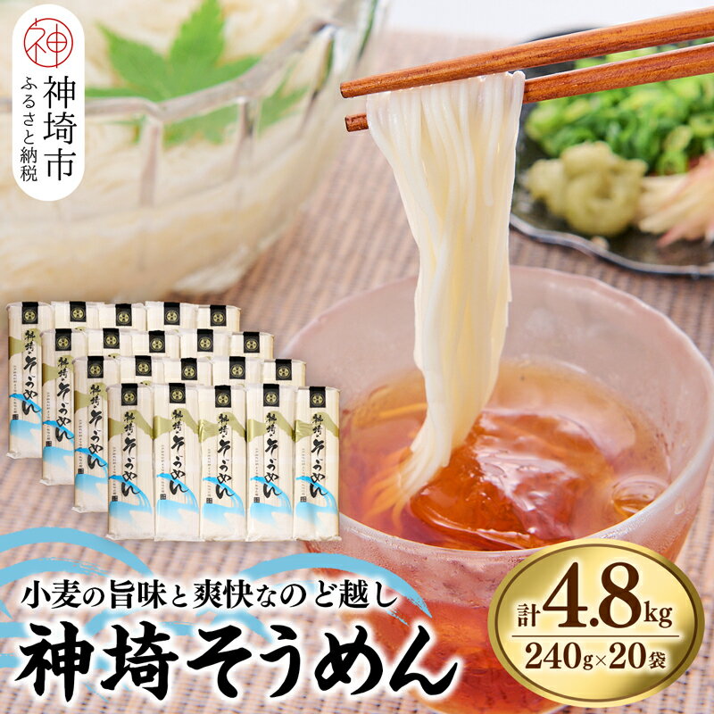 【ふるさと納税】神埼そうめん(240g×20袋) 【そうめん 麺 神埼 めん 素麺 佐賀特産品 かんざき 九州 佐賀 ギフト 贈答用 名産品】(H020101)