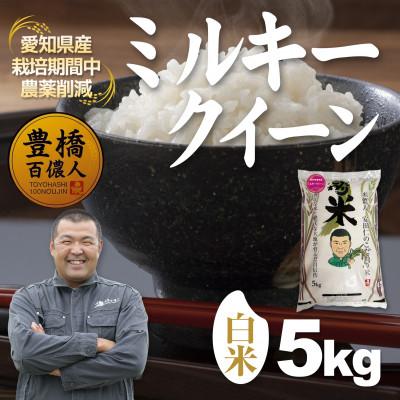 ふるさと納税 豊橋市 【栽培期間中農薬削減】令和7年産 ミルキークイーン白米5kg 愛知県 豊橋市 産地直送