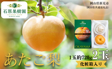 あたご梨 2玉 贈答 化粧箱 赤秀 約720g玉【先行予約 2026年11月中旬から順次発送】
