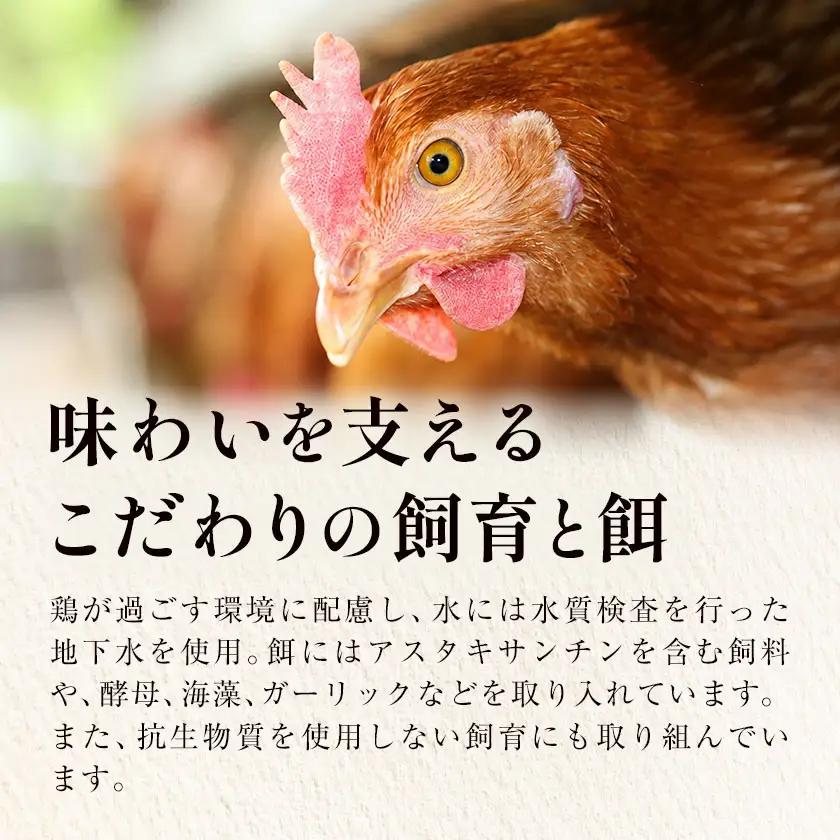 【6か月定期便】君嶋養鶏園のたまご Lサイズ 30個（27個＋割れ補償3個）×6ヶ月 計180個 | 定期便 6ヶ月 6か月 6ヵ月 卵 玉子 たまご 赤卵 赤たまご 生卵 国産 濃厚 鶏卵 コク 旨