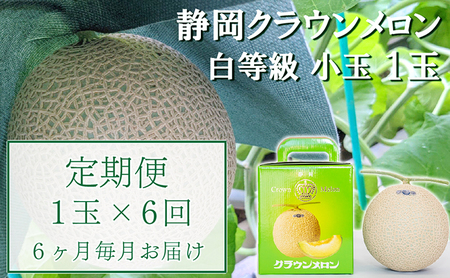 クラウンメロン 並(白等級) 小玉 静岡県産 クラウンメロン【1.1kg前後 1玉】【6か月定期便】