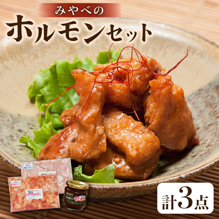 【ふるさと納税】みやべのホルモン 2種 計700g (350g×2P) 専用たれ付き 豚ホルモン 焼肉 小分け【肉のみやべ】[YAC007]