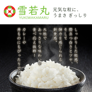 【定期便2回】山形県産 雪若丸 精米 5kg×2回(計10kg) FZ26-843