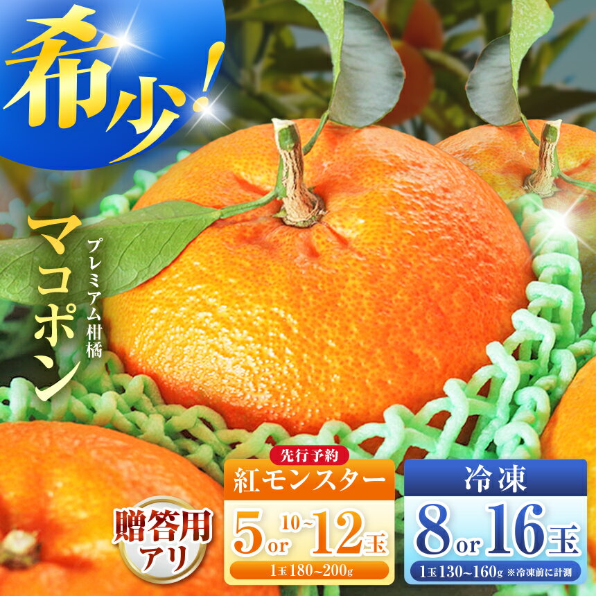 【ふるさと納税】【先行予約】【選べる種類・内容量】紅モンスター マコポン（生・冷凍 / 5玉〜16玉 / 贈答用あり）| フルーツ 果物 くだもの 果実 柑橘 まこぽん マコポン オレンジ 国産 産地直送 大分県 中津市【発送は2026年12月10日～2027年1月31日頃の予定】