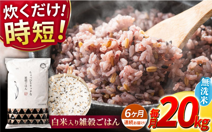 
            【全6回定期便】水研ぎ不要 雑穀ごはん 無洗米 20kg 【株式会社 農産ベストパートナー】 [ZBP155]
          