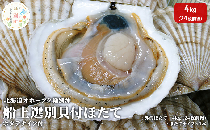 北海道 オホーツク 湧別沖 船上 選別 貝付 ほたて 4kg（24枚前後）ホタテナイフ付 帆立 刺身 海鮮 魚介 国産 殻付き 冷蔵 サロマ湖 魚貝類 砂抜き お刺身 生食 