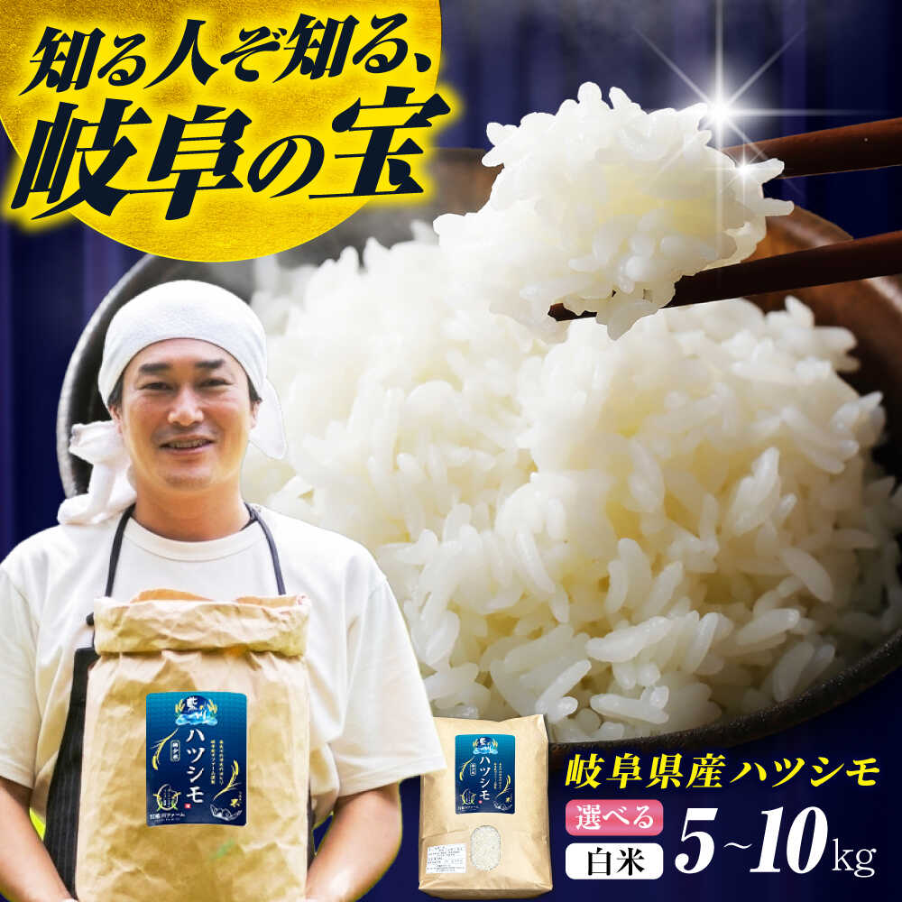 【ふるさと納税】【令和6年度産】【選べる容量】岐阜県産米ハツシモ5kg ハツシモ はしつも 白米 精米 米 こめ コメ 5kg 5キロ 岐阜市 / 藍川ファーム[ANHI001-002]