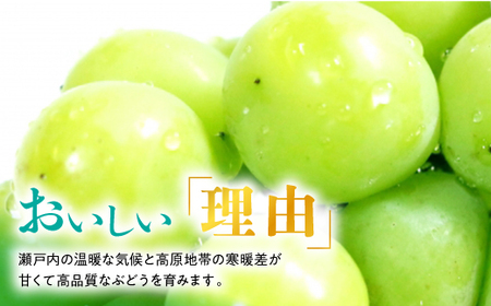 【2025年発送】訳あり!シャインマスカット約2kg!8月中旬～順次発送【人気の岡山産ぶどう】【配送不可地域：離島】【1378275】