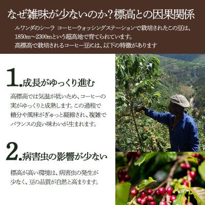 ふるさと納税 鶴岡市 千一珈琲 コーヒー豆「ルワンダ」87g [K-710] |  | 02