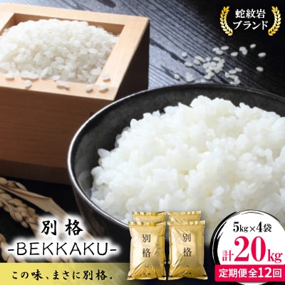 【毎月定期便】蛇紋岩ブランド 別格米 20kg(5kg×4)全12回【4071057】