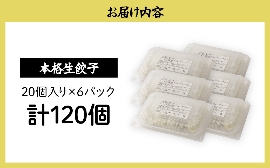 本格生餃子20個×6箱 餃子 120個 人気店の旨味あふれる冷凍餃子 | 大容量 ギョウザ 冷凍餃子 ギョーザ 冷凍ギョウザ 冷凍 冷凍ぎょうざ ぎょうざ ぎょーざ おいしい 手軽 食べ比べ 美味しい
