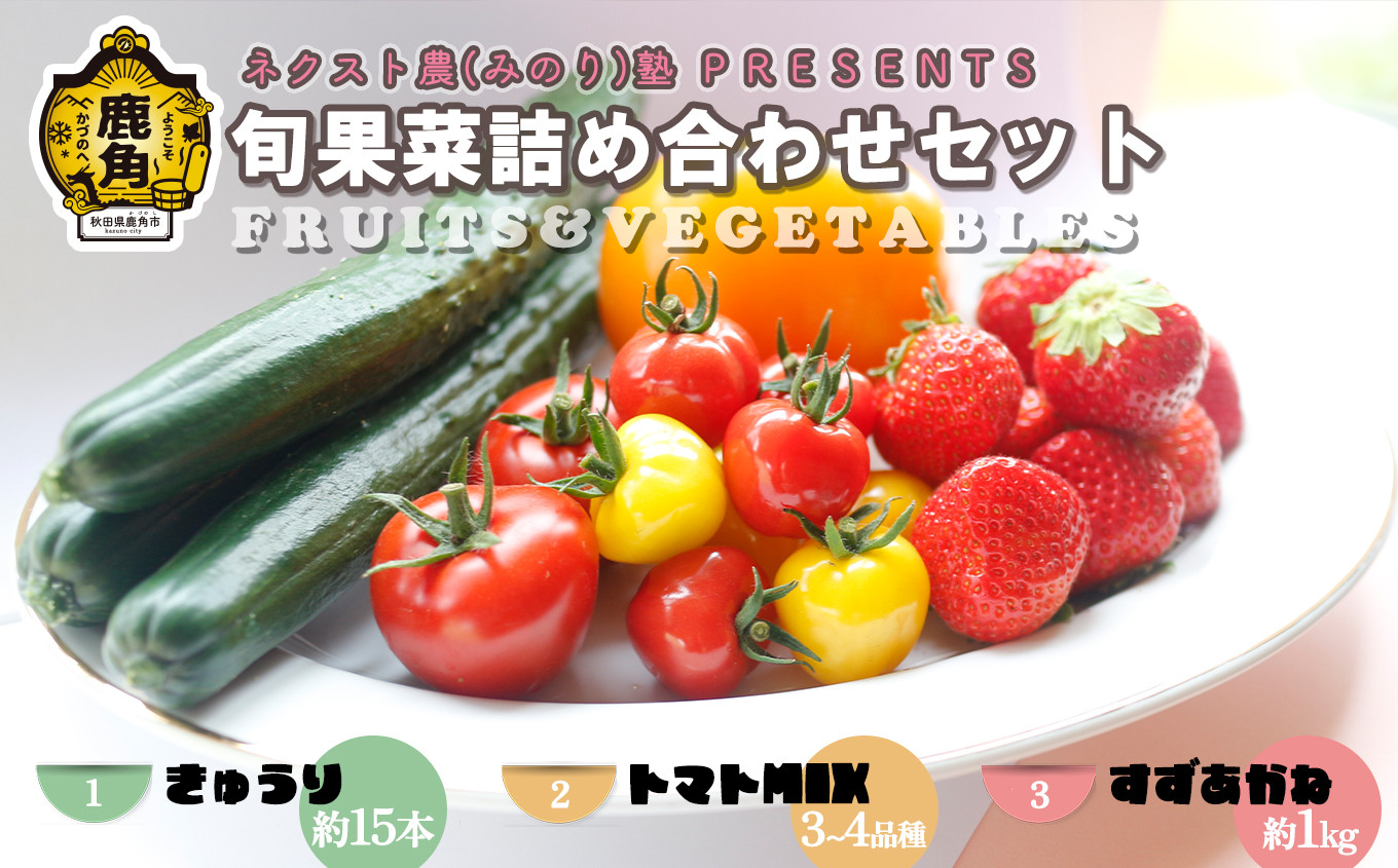 
《先行予約》令和6年産 ネクスト農（みのり）塾 PRESENTS　旬果菜詰め合わせセット「きゅうり・トマト・いちご（すずあかね）」【優作ファーム】●2024年7月下旬発送開始　野菜 旬 果物 くだもの フルーツ 食べ比べ セット 詰め合わせ 贅沢 特産 国産 鹿角産 秋田県 秋田 あきた 鹿角市 鹿角 かづの ギフト プレゼント
