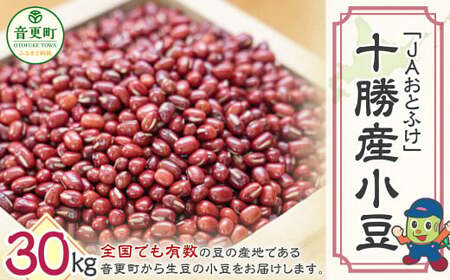 令和7年産 小豆30kg「JAおとふけ」【D42-02】 あずき 北海道