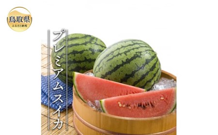 プレミアムスイカ1玉　（2Ｌ以上）【期間･数量限定】_T2600187