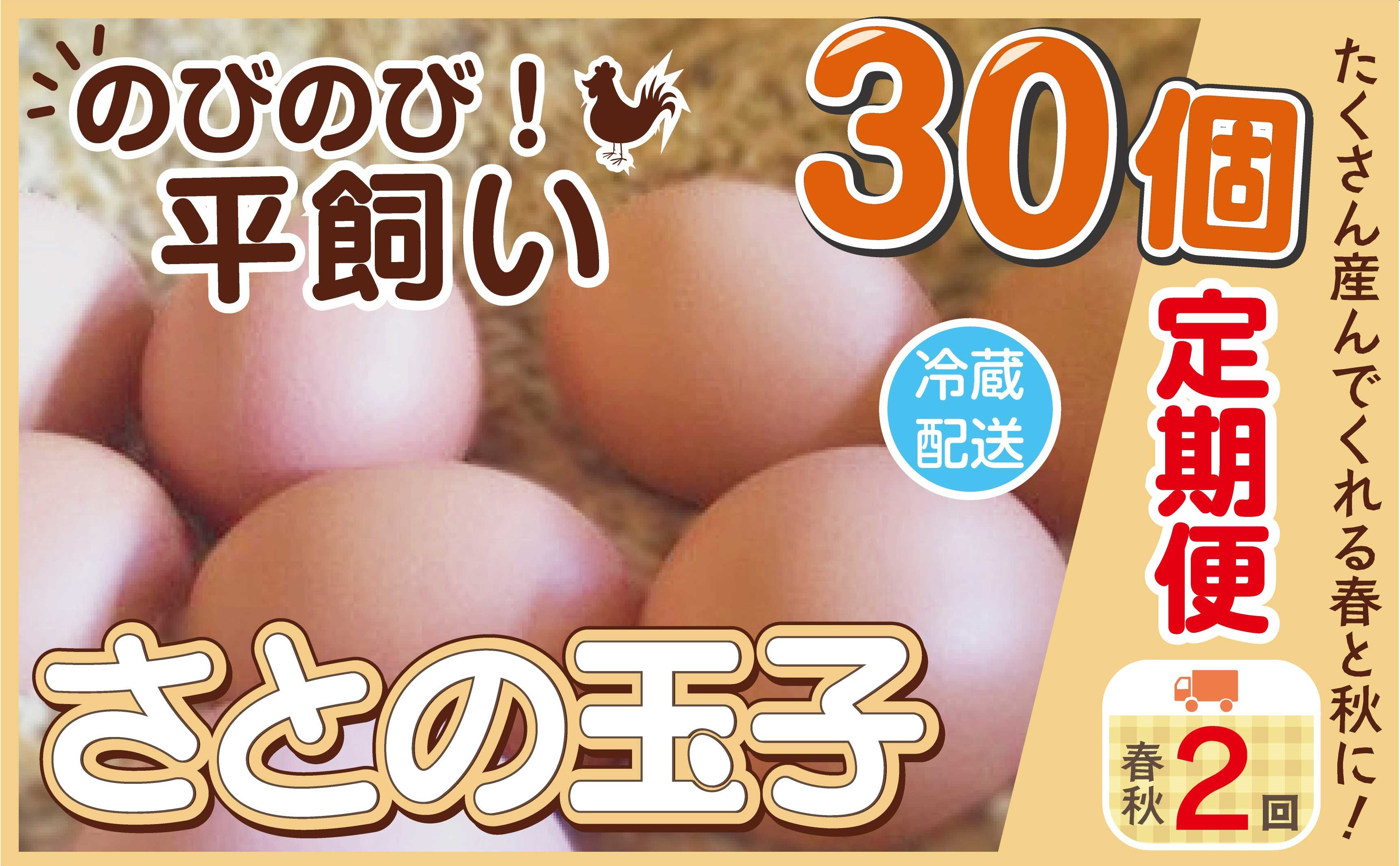 
             【春秋2回 定期便】 玉子 30個×2回(3～4月、10～11月) 冷蔵 無添加 タンパク質 濃厚 卵 たまご 鶏卵 新鮮 ご飯 家庭用 平飼い とりのさと農園
          