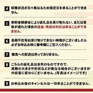 生うに 120g (40g×3本) 牛乳瓶入 冷蔵 ミョウバン不使用 無添加 うに キタムラサキウニ 小分け ウニ丼 うに ウニ 雲丹 寿司 Sea urchin 新鮮 直送 産地直送 生食 生 ごは