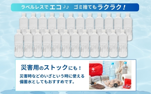 【ミネラルたっぷり天然水】ラベルのない細野の天然水 555ml×48本（2箱） 国産 ナチュラルウォーター ミネラルウォーター ラベルレス 天然水 水 555ml 中硬水 シリカ 美容 人気 ペットボ