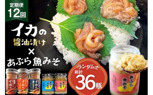 ご飯のお供 あぶらみそ イカ 醤油漬け 3本 ランダムでお届け 12回 定期便 総計36本 [康貴丸水産 長崎県 平戸市 hr42bgy400206] お取り寄せ おにぎり おかず 具材 油味噌 魚 さかな 塩辛