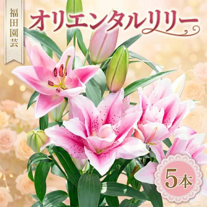  ユリ(オリエンタルリリー)5本【ユリ】