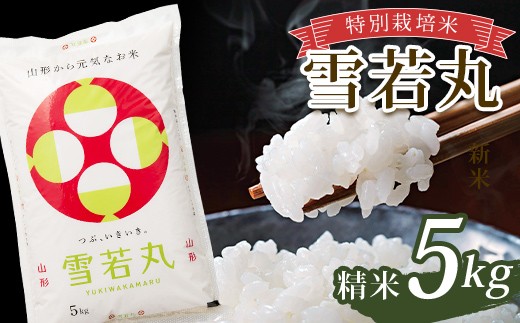 
                  令和7年産 特別栽培米 雪若丸 (精米) 5kg 山形県南陽市産 米 白米 ご飯 農家直送 山形県 南陽市 [2365-A]
                