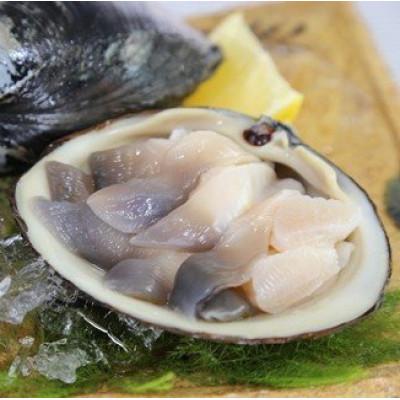 ふるさと納税 むかわ町 鵡川漁協発!特選ホッキ貝(2.5kg) |  | 02