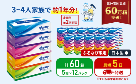 【ふるなび限定】定期便 ティッシュ クリネックス ティシュー 1ケース (5箱入×12パック)《6ヶ月ごと計2回》 ティッシュペーパー セット 柔らかい 節約 日用品 消耗品 備蓄 防災  ボックスティッシュ  ペーパー ローリングストック 宮城 岩沼市