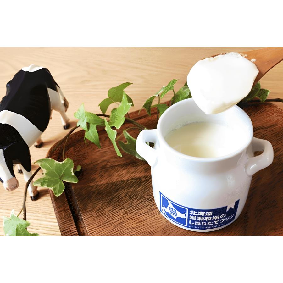 ＜岩瀬牧場＞こだわりプリン　2種・6個セット