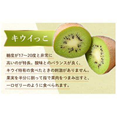 ふるさと納税 琴平町 【ふるさと納税】【香川県共通返礼品】　こつぶでちゅるん　さぬきキウイっこ　1.8kg