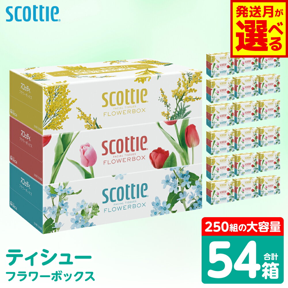【ふるさと納税】 【選べる発送月】 【スコッティ】 ティシュー フラワーボックス 250組 54箱 ティッシュ 日用品 生活必需品 送料無料