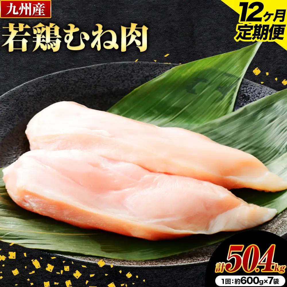 【12ヶ月定期便】 九州産若鶏ムネ肉 600g×7袋×12回 計50.4kg 鶏肉 お肉 ムネ肉 むね肉 小分け 冷凍 九州産 国産 熊本県 菊池市 送料無料《お申込み翌月から出荷》