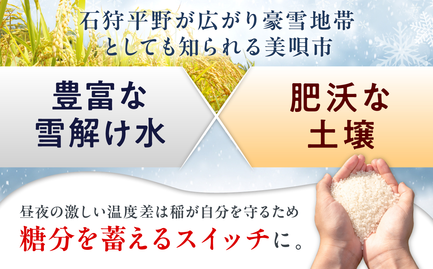 【令和7年産】 北海道 ゆめぴりか 精米 5kg | 白米 お米 米 北海道産 コメ | 株式会社松原米穀 [BOCG017]