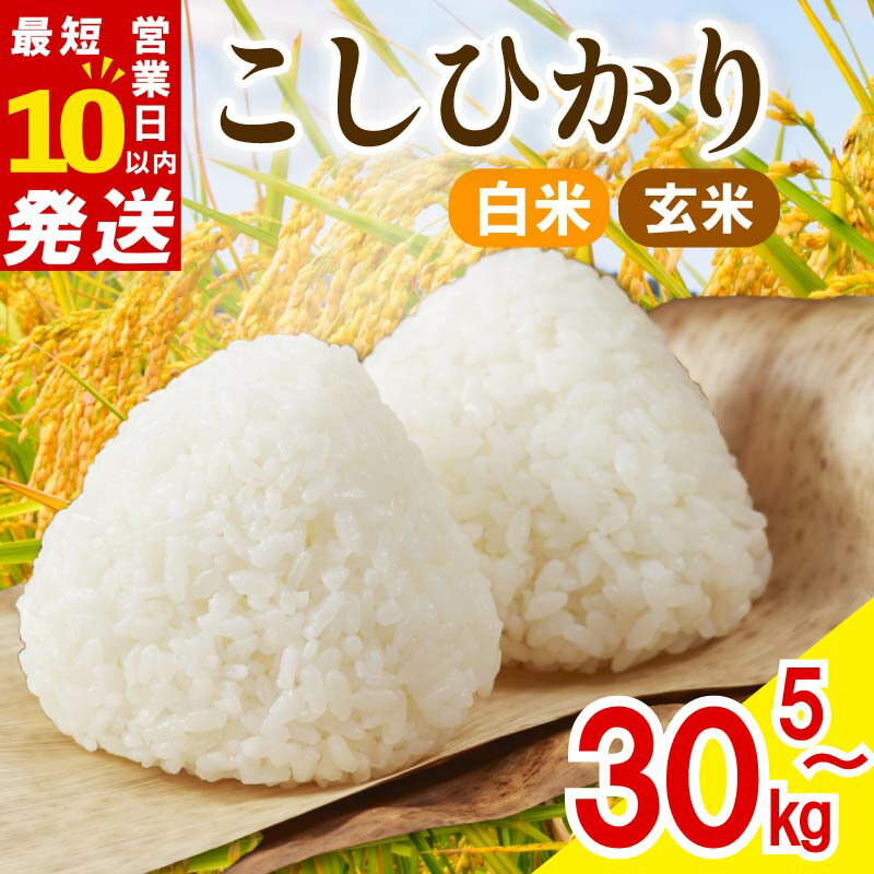 【ふるさと納税】 新米 令和7年産 白米 玄米 選べる 5kg 10kg 20kg 30kg コシヒカリ 数量限定 お米 精米 新米 ご飯 こめ はくまい おにぎり つやつや おいしい お弁当 産地直送 農家直送 贈り物 贈答 国産 新米 大和高原醸造所 奈良県 奈良市 なら
