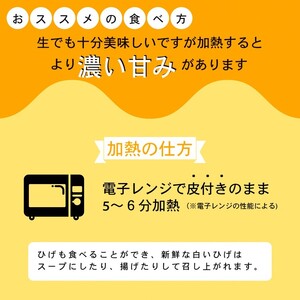 朝採れ とうもろこし 5kg スイートコーン ドルチェドリーム 甘い 早朝収穫〈アグリにのうみ〉京都 亀岡 農家直送 2024年産 先行予約 ※着日指定不可  ※北海道・沖縄・離島への配送不可 ※20