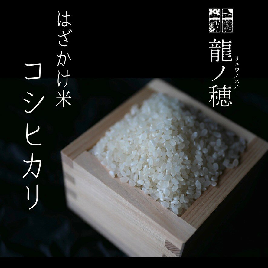 【ふるさと納税】【令和8年産】南信州産はざかけ米 コシヒカリ 【選べる容量】 5kg 10kg 龍ノ穂 −リュウノスイー | 米 お米 おこめ ご飯 ごはん 食卓 長野県 飯田市 信州